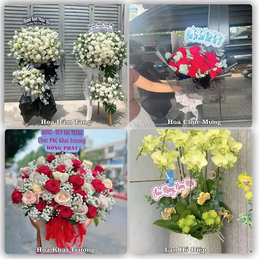 Shop hoa tươi Phan Đình Phùng, Thái Nguyên – đặt hoa theo dịp, giao tận nơi