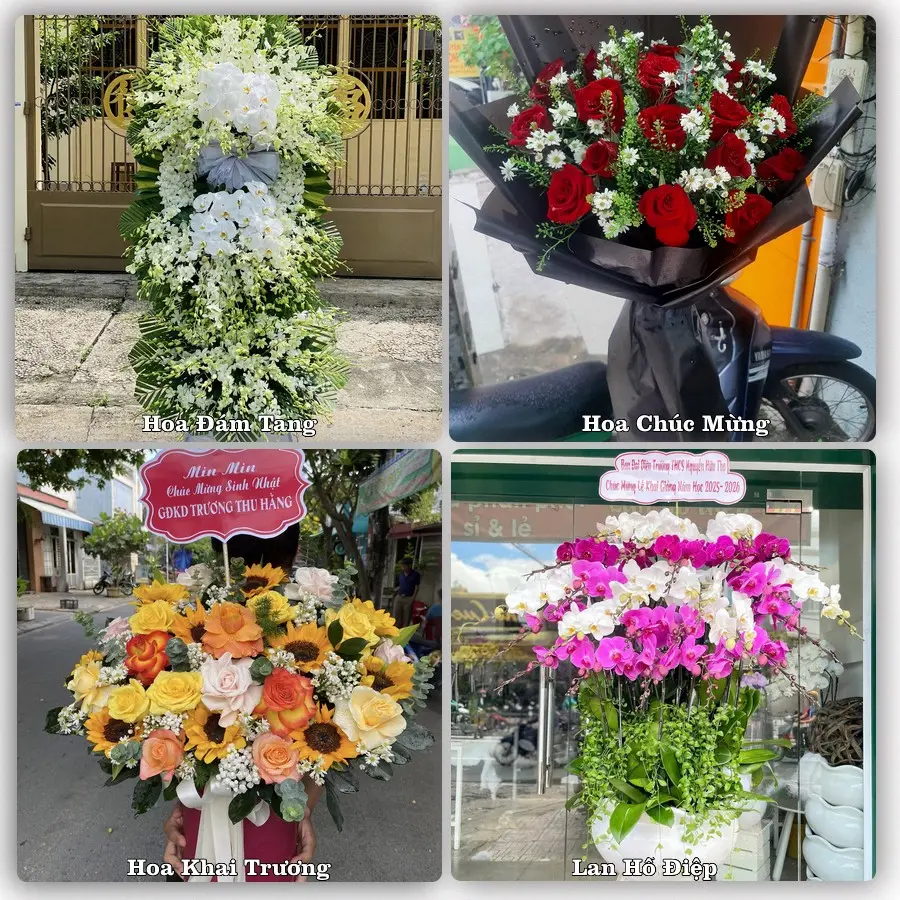 Mẫu hoa tươi giao tại Phú Định, Quận 8