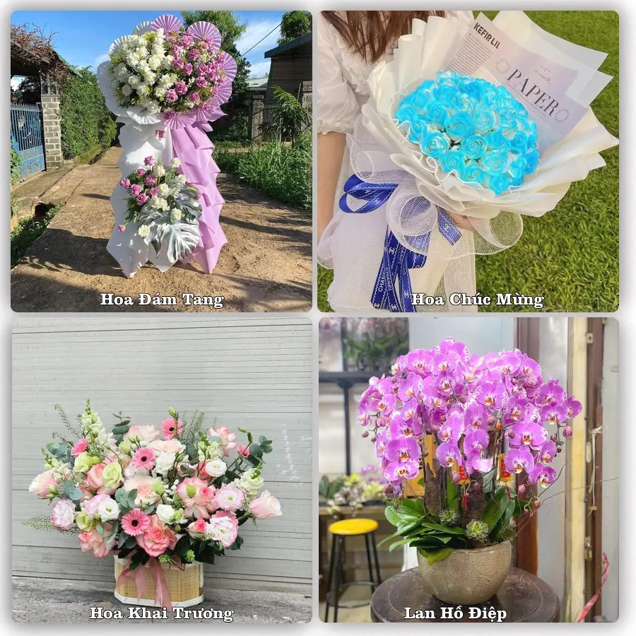 Mẫu hoa tươi giao tại Phù Đổng, Hà Nội