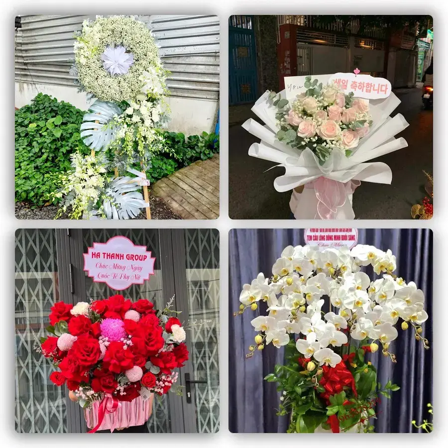 Mẫu hoa tươi tại Phú Hòa