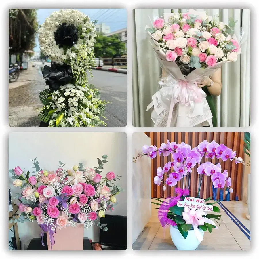 Mẫu hoa tươi tại Phú Long