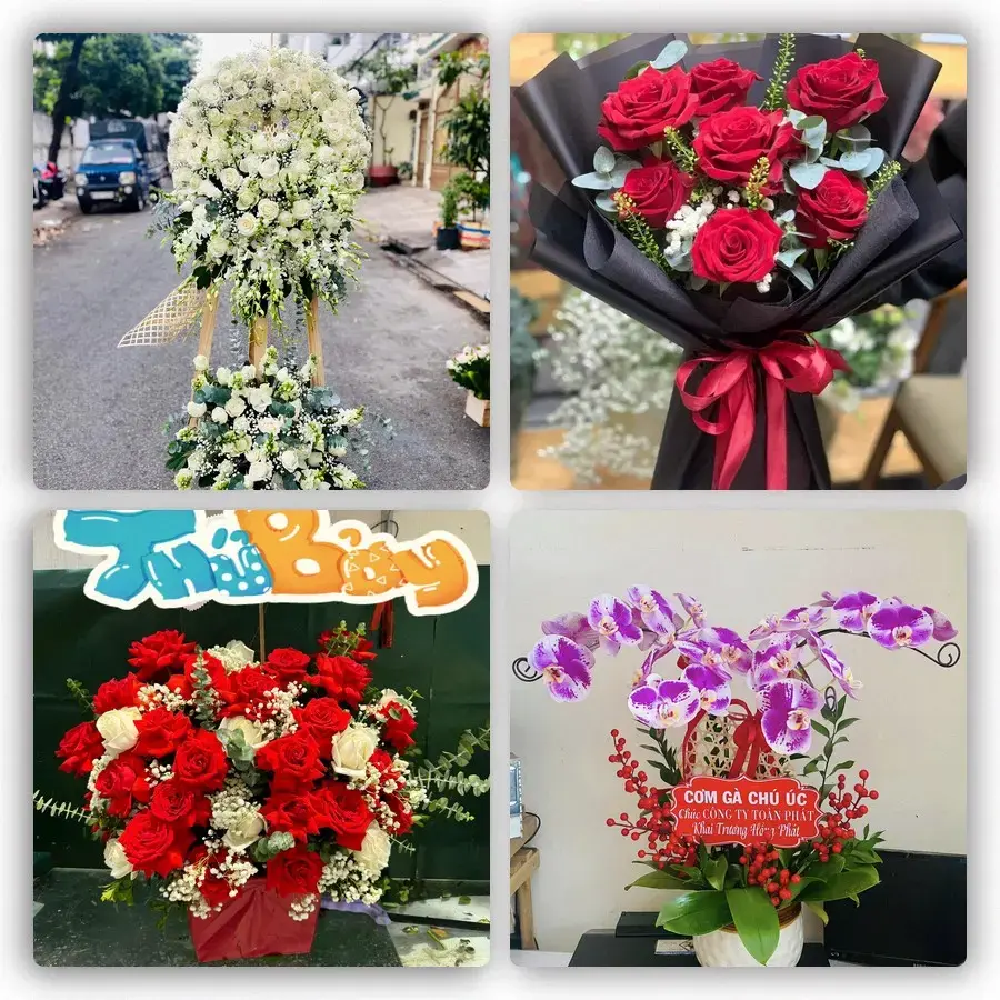 Mẫu hoa tươi tại Phú Long