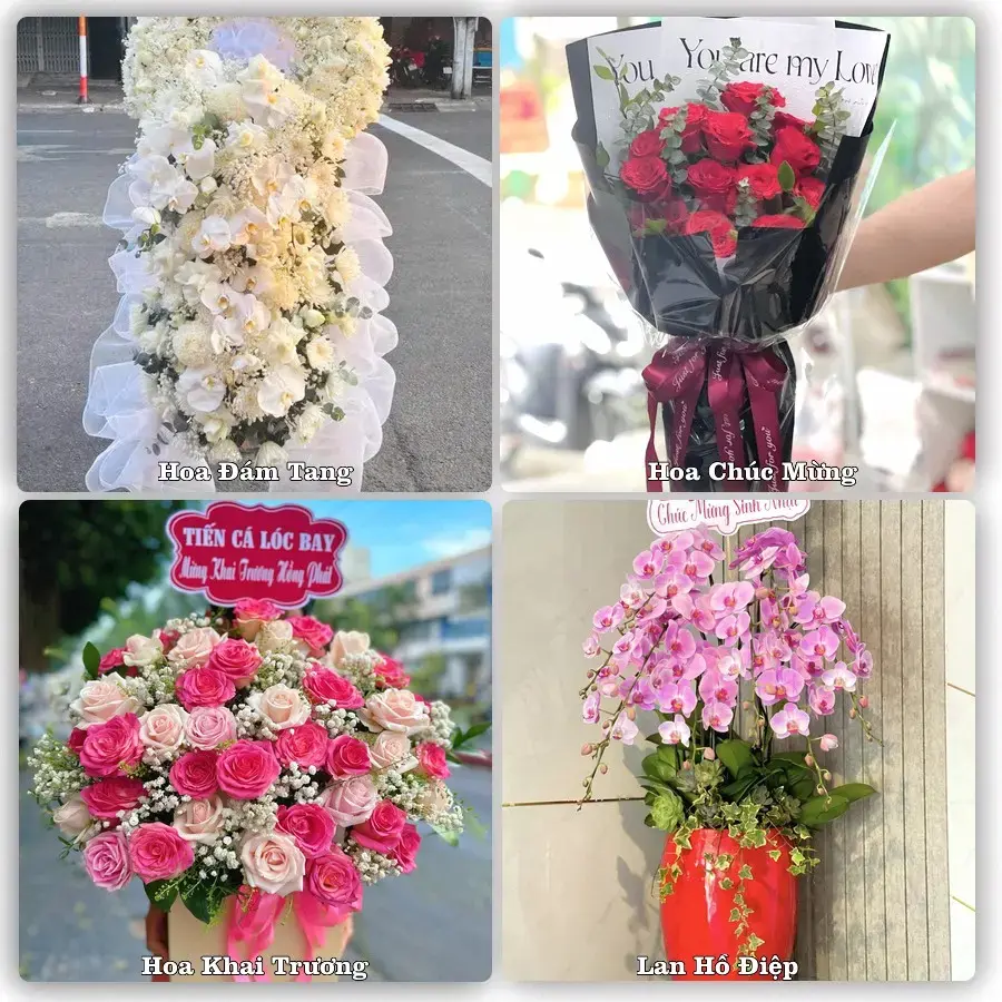 Shop hoa tươi Phú Lương, Hà Nội – đặt hoa theo dịp, giao tận nơi