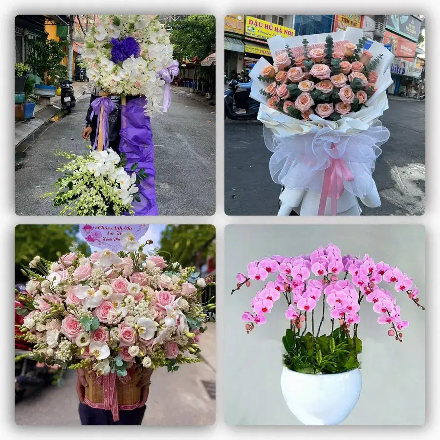 Mẫu hoa tươi tại Phù Mỹ