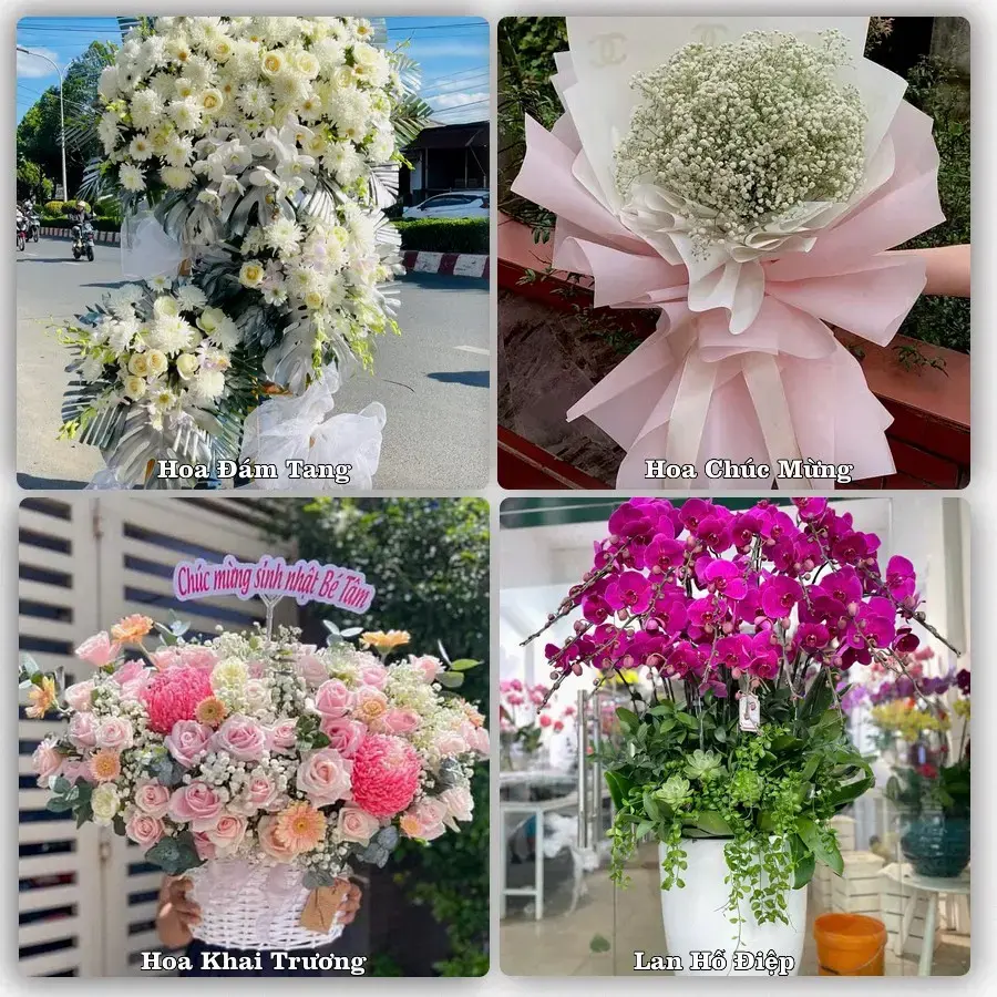 Đặt hoa giao tận nơi khu Phú Nhuận, TP.HCM