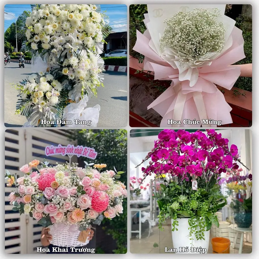 Đặt hoa giao tận nơi khu Phú Nhuận, TP.HCM