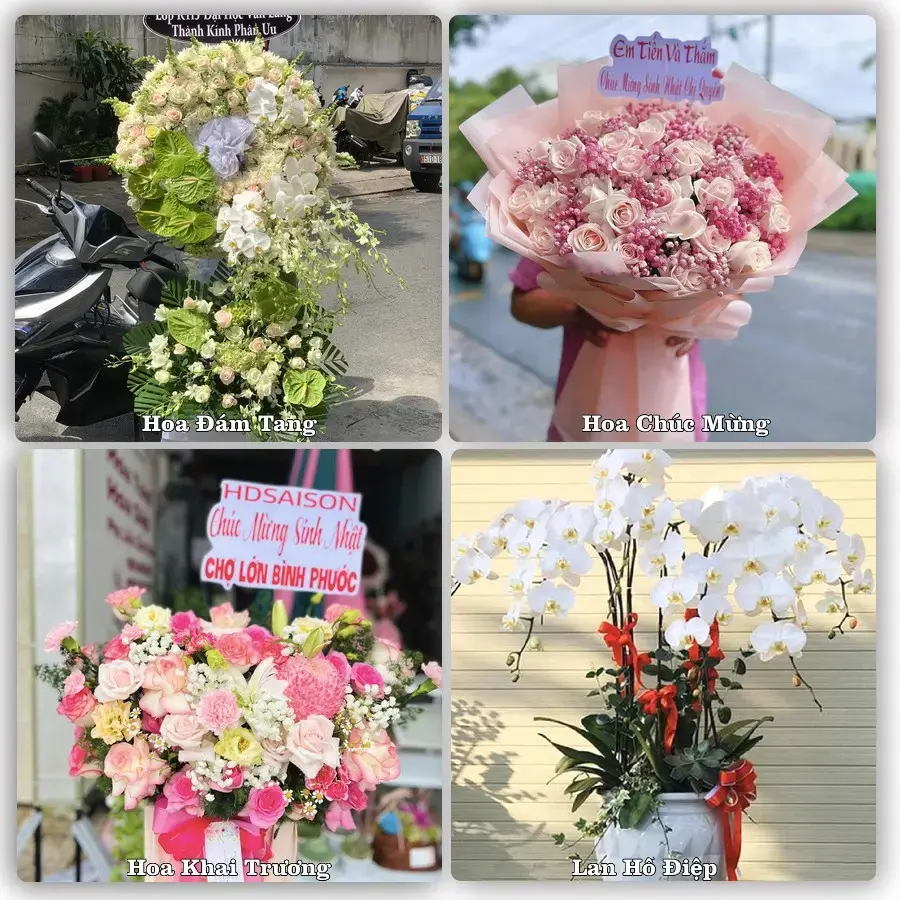 Shop hoa tươi Phú Nhuận, TP.HCM – đặt hoa theo dịp, giao tận nơi
