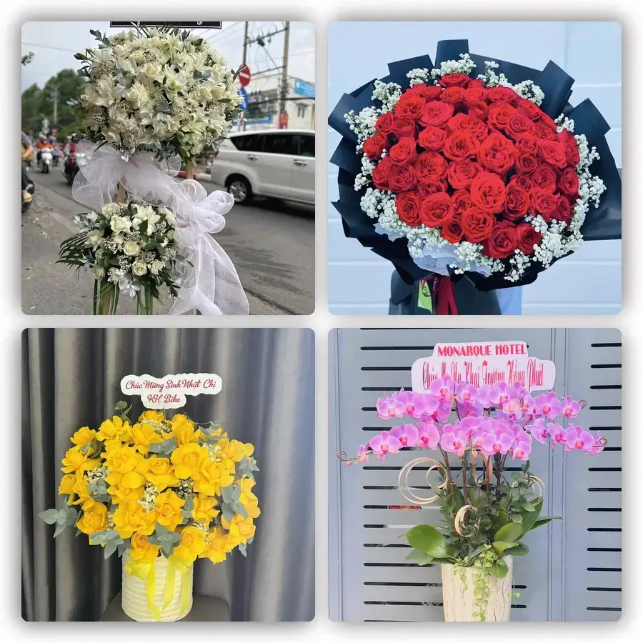 Mẫu hoa tươi tại Phú Quới