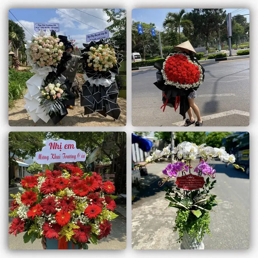 Mẫu hoa tươi tại Phú Thiện