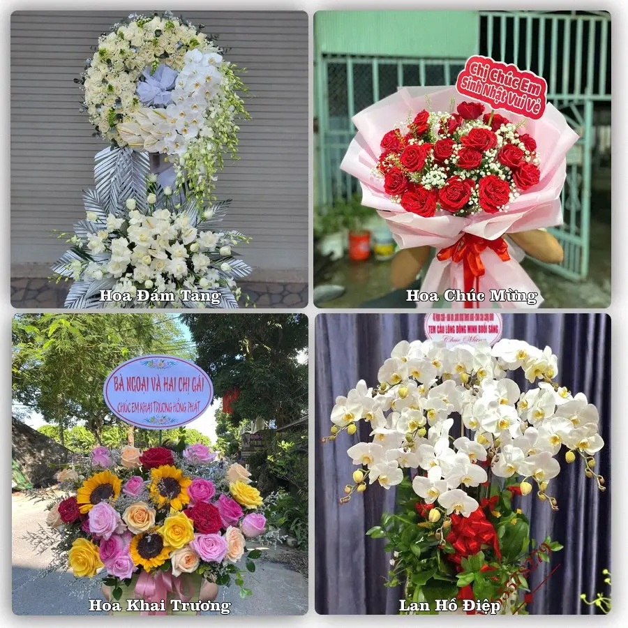 Đặt điện hoa giao tận nơi khu Phú Thọ Hòa, TP.HCM