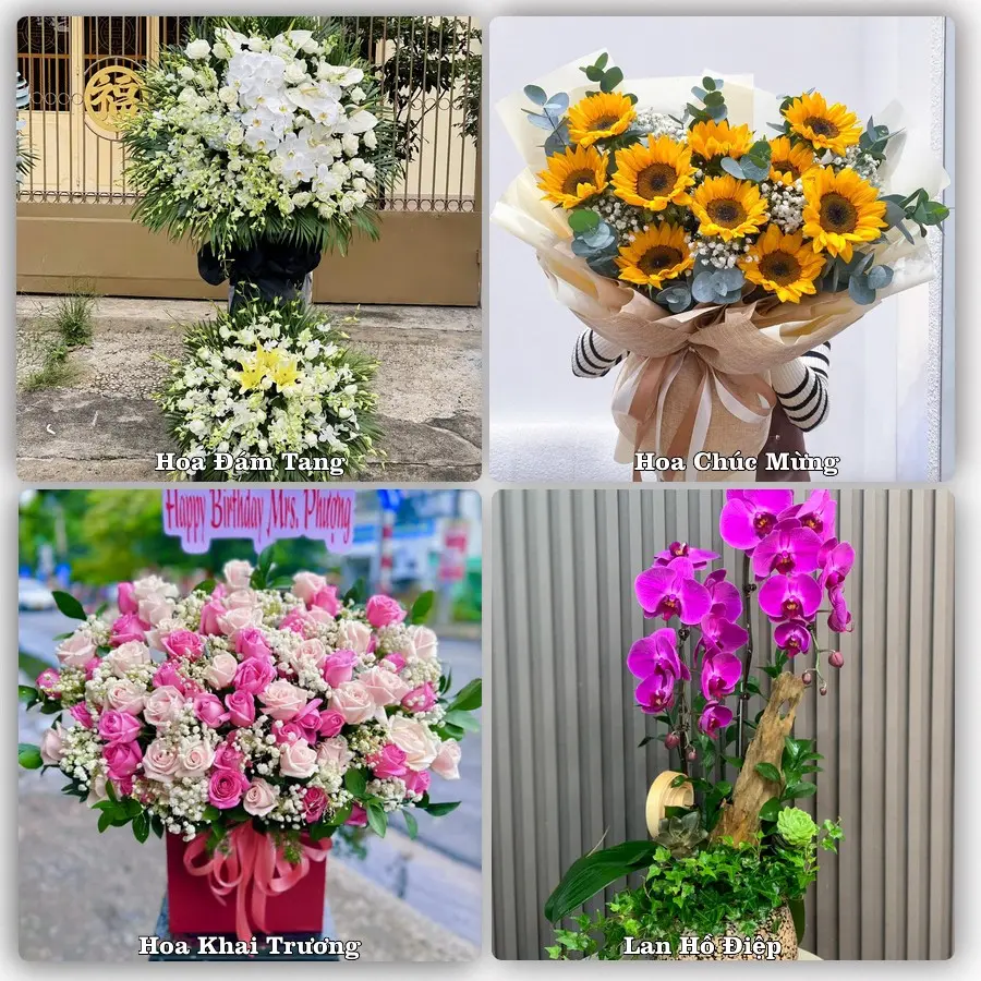 Đặt hoa giao tận nơi khu Phú Thọ, TP.HCM