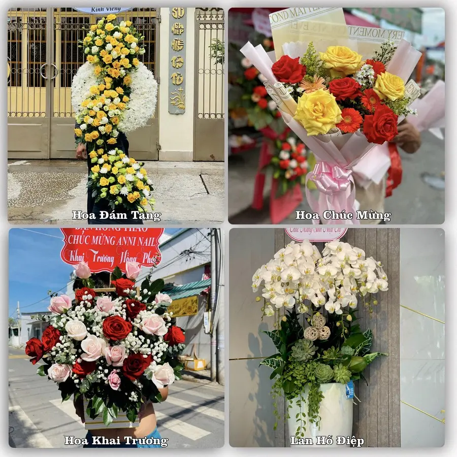 Mẫu hoa tươi giao tại Phú Thọ, TP.HCM
