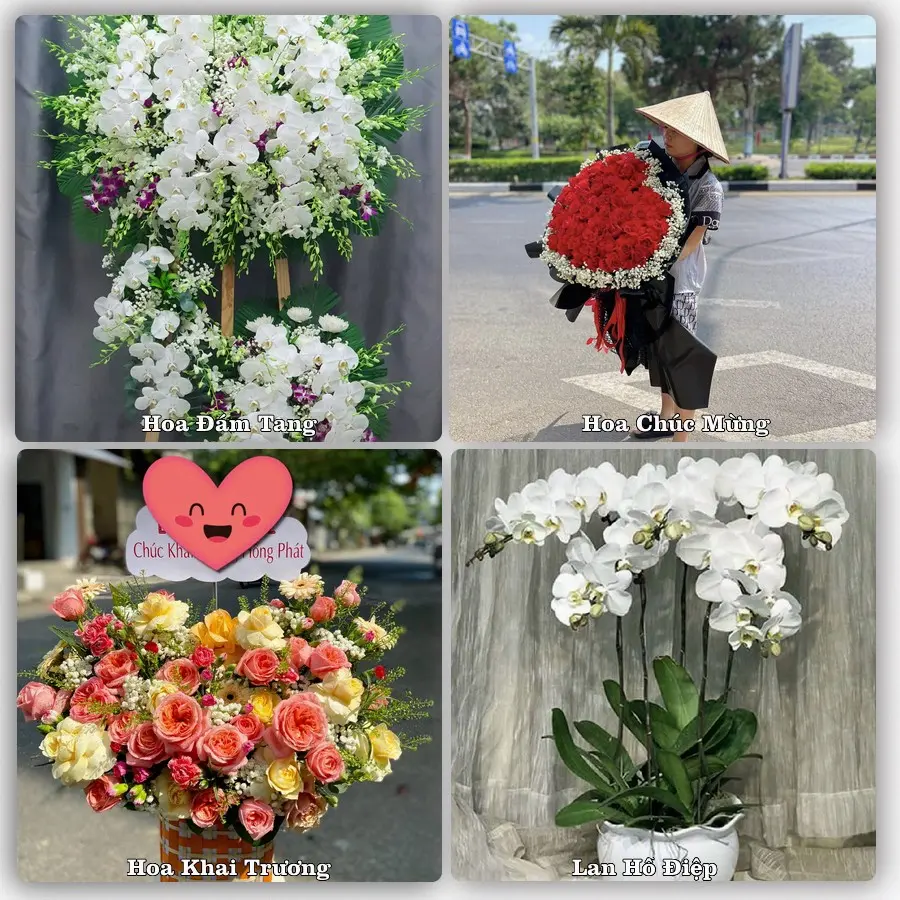 Mẫu hoa tươi giao tại Phú Thuận, TP.HCM