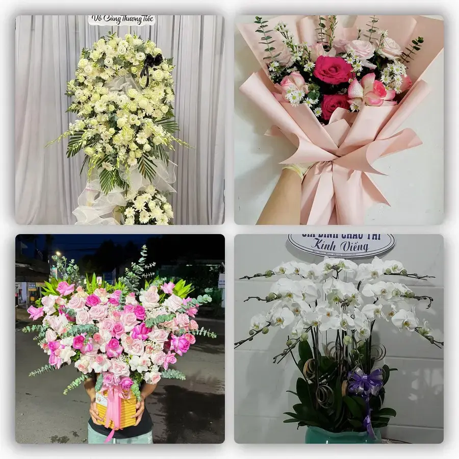 Mẫu hoa tươi tại Phù Yên