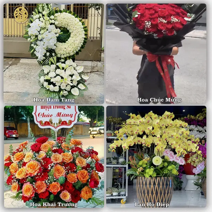 Shop hoa tươi Phước Long – giao hoa căn hộ, nhà phố tận nơi Thủ Đức