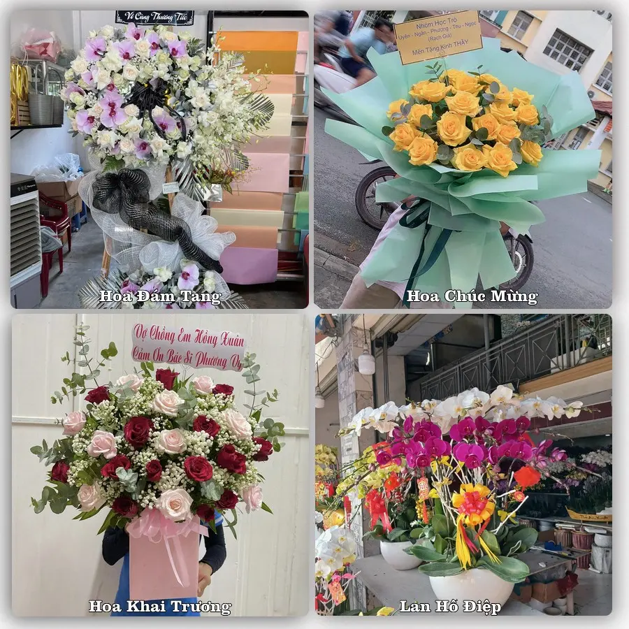 Mẫu hoa tươi dành cho khách đặt hoa tại Quận 11, TP.HCM