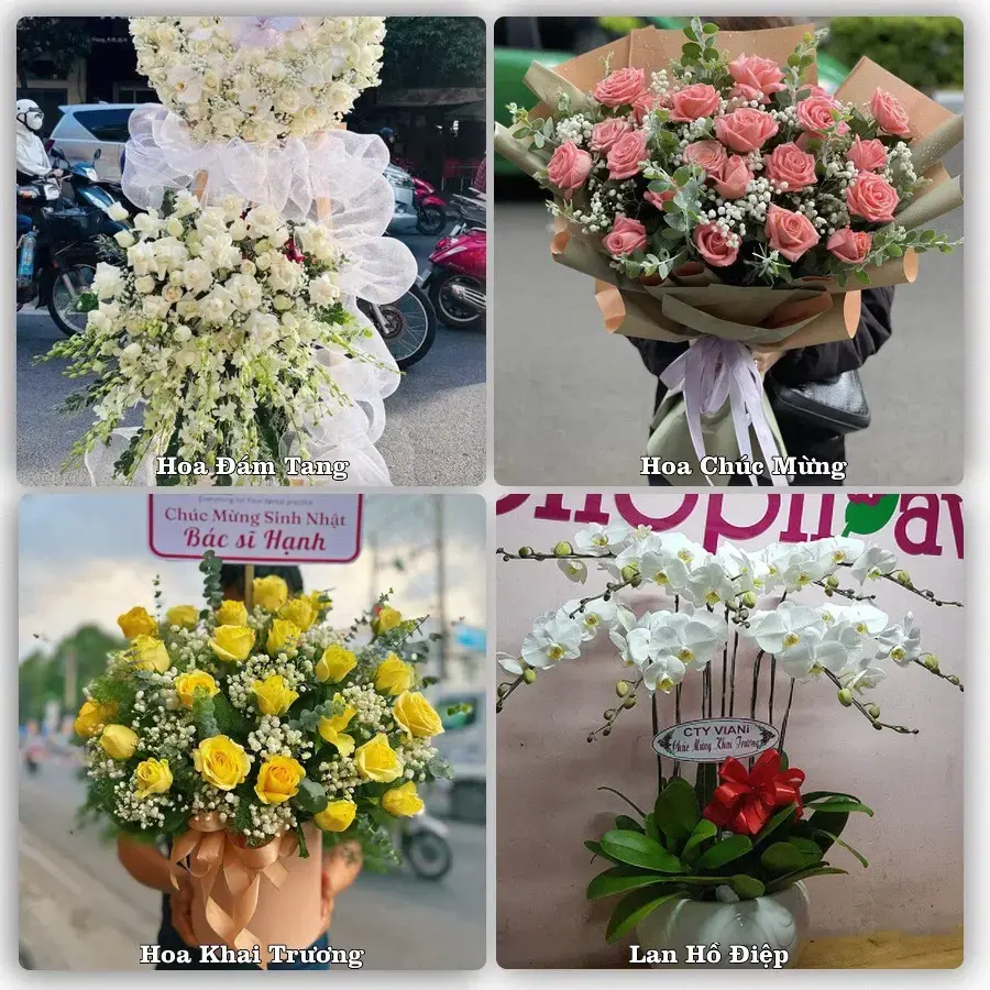 Shop hoa tươi Quận Đồ Sơn, Hải Phòng – Giao tận nơi trong 2 giờ