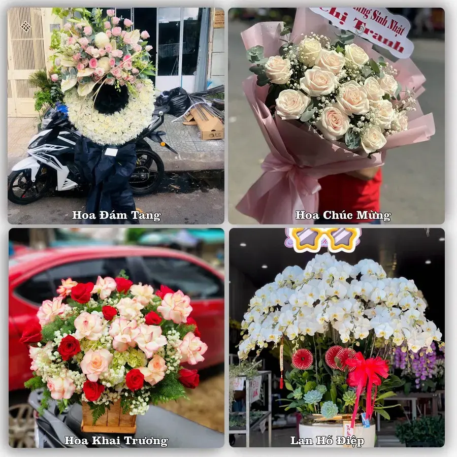 Shop hoa tươi Quận Dương Kinh, Hải Phòng – Giao tận nơi trong 2 giờ
