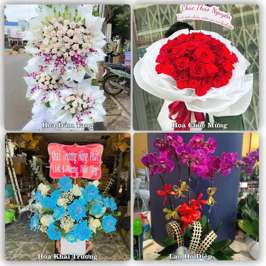 Shop hoa tươi Quận Hải An, Hải Phòng – Giao tận nơi trong 2 giờ