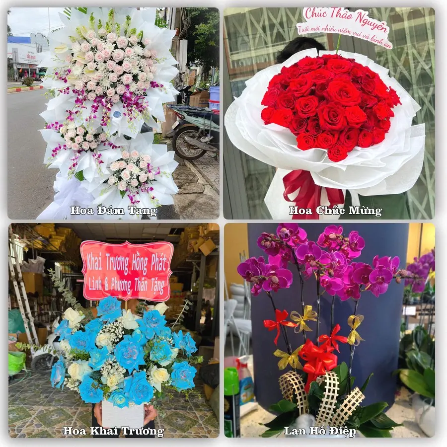 Mẫu hoa tươi dành cho khách đặt hoa tại Quận Hải An, Hải Phòng