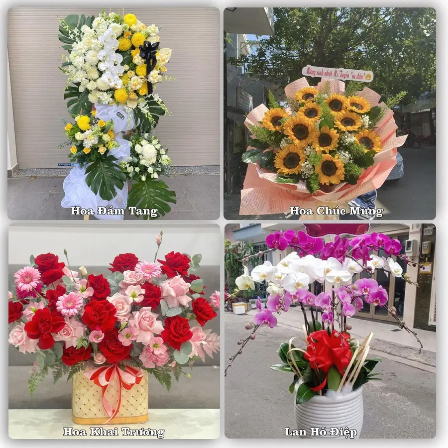 Mẫu hoa tươi dành cho khách đặt hoa tại Quận Hồng Bàng, Hải Phòng