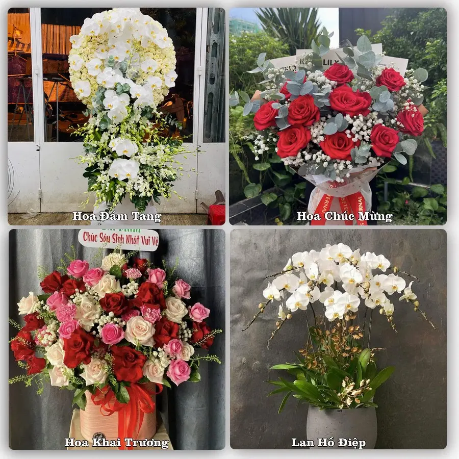 Mẫu hoa tươi dành cho khách đặt hoa tại Quận Kiến An, Hải Phòng