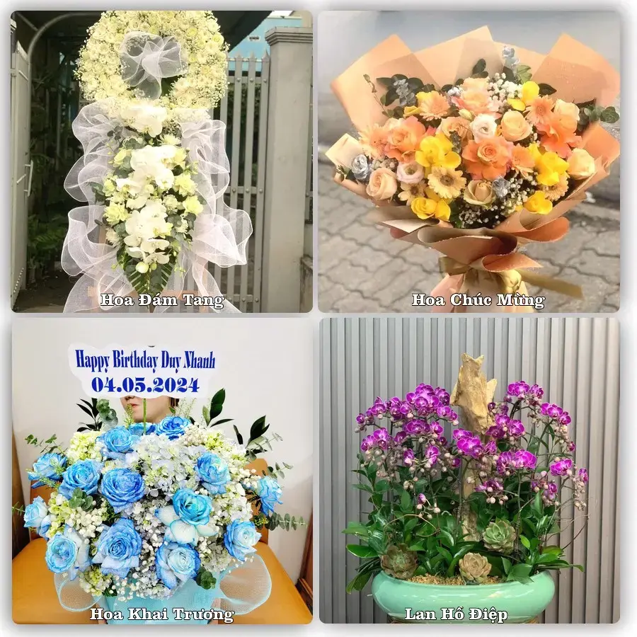 Shop hoa tươi Quận Lê Chân, Hải Phòng – Giao tận nơi trong 2 giờ