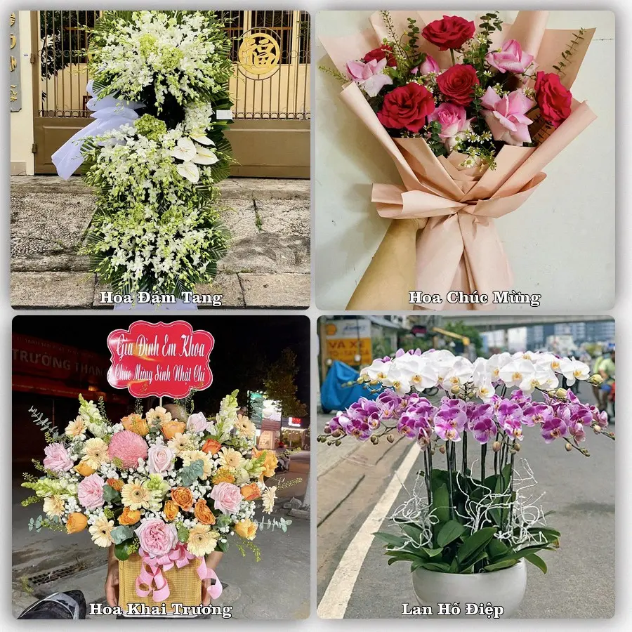 Mẫu hoa tươi dành cho khách đặt hoa tại Quận Long Biên, Hà Nội