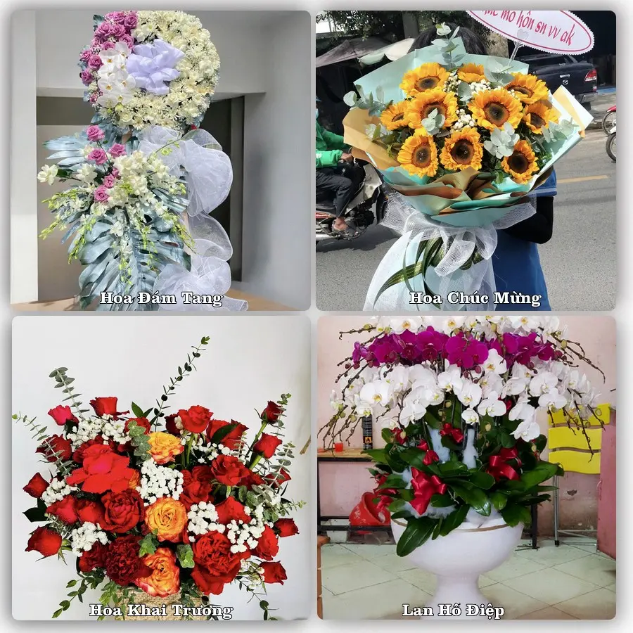 Mẫu hoa tươi dành cho khách đặt hoa tại Quận Ngô Quyền, Hải Phòng