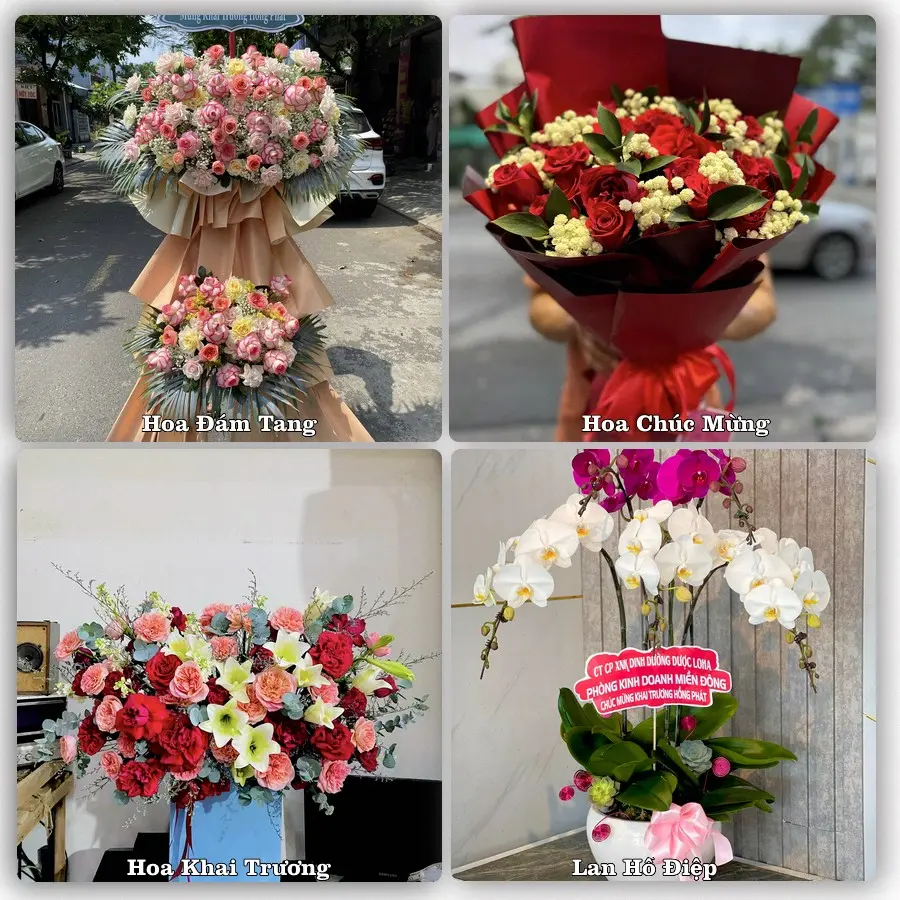 Mẫu hoa tươi dành cho khách đặt hoa tại Quận Ngũ Hành Sơn, Đà Nẵng