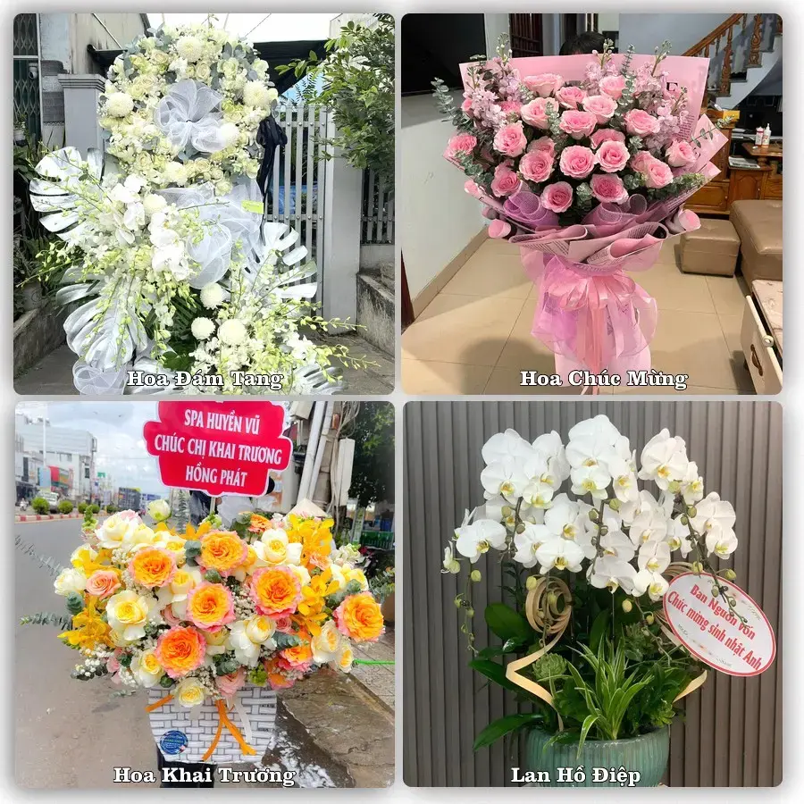 Shop hoa tươi Quận Tân Bình, TP.HCM – Giao tận nơi trong 2 giờ