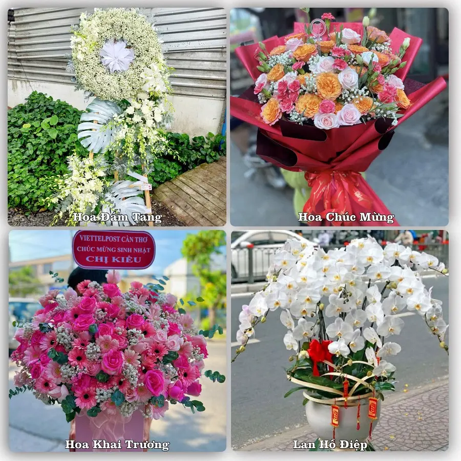 Mẫu hoa tươi dành cho khách đặt hoa tại Quận Tân Phú, TP.HCM