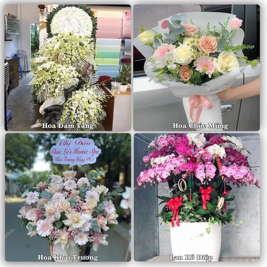 Mẫu hoa tươi dành cho khách đặt hoa tại Quận Tây Hồ, Hà Nội