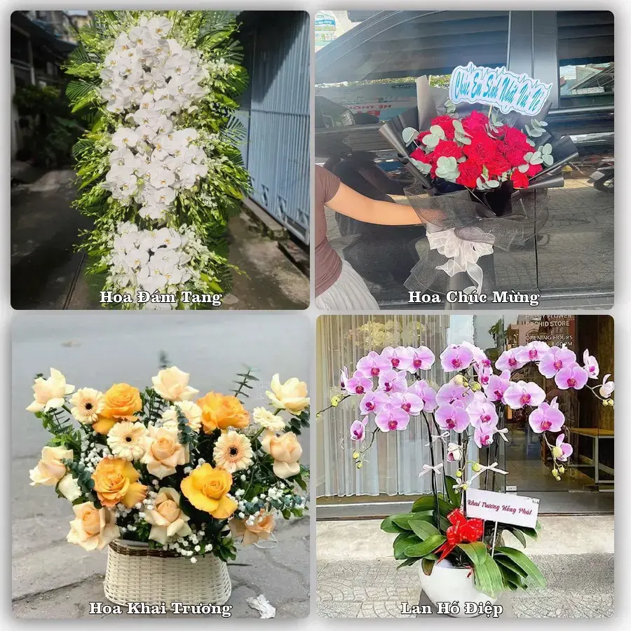 Shop hoa tươi Quận Thanh Khê, Đà Nẵng – Giao tận nơi trong 2 giờ
