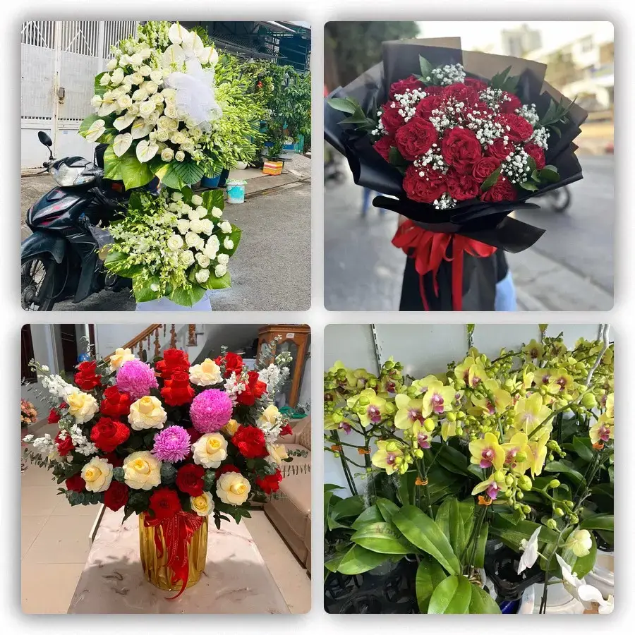 Mẫu hoa tươi tại Quỹ Nhất