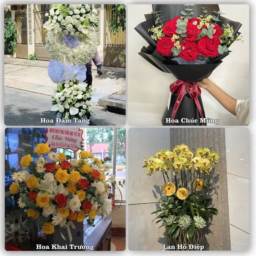 Đặt hoa giao tận nơi khu Quy Nhơn, Gia Lai