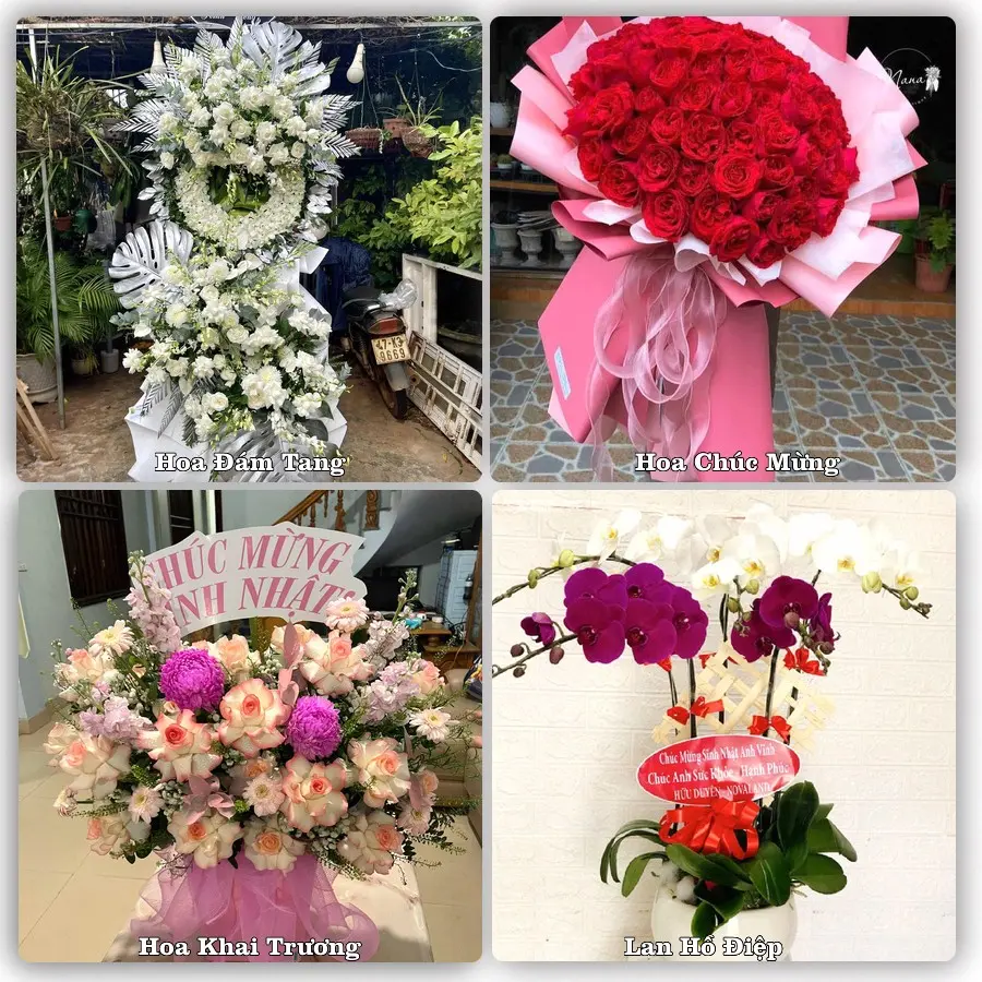 Mẫu hoa tươi giao tại Quy Nhơn, Gia Lai