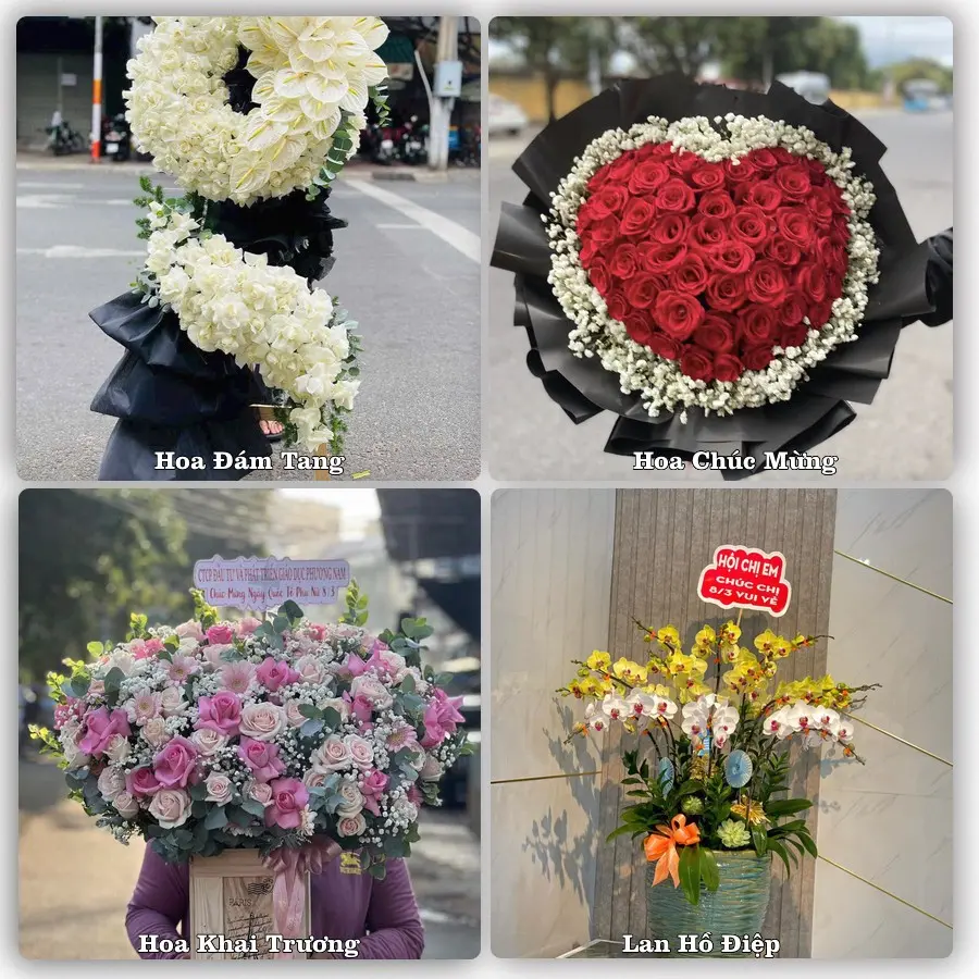 Mẫu hoa tươi giao tại Rạch Giá, An Giang