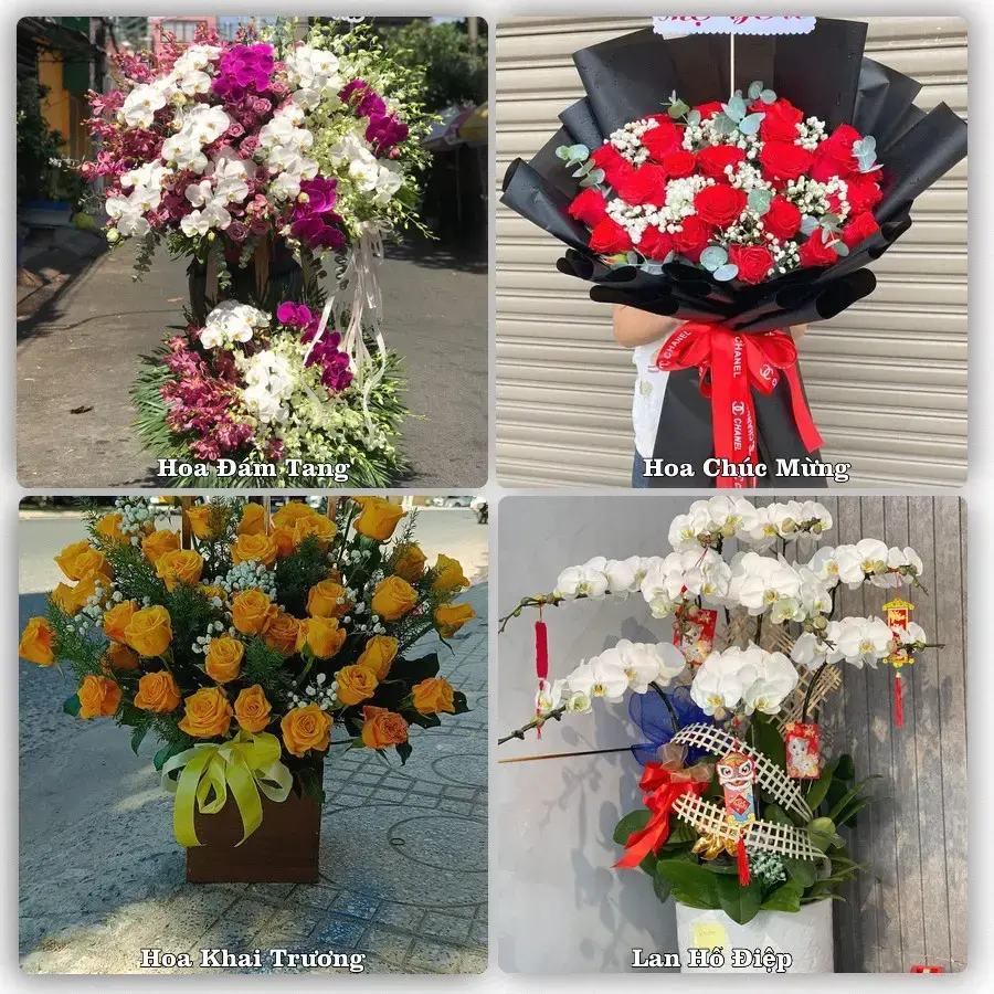 Shop hoa tươi Sầm Sơn, Thanh Hóa – đặt hoa theo dịp, giao tận nơi