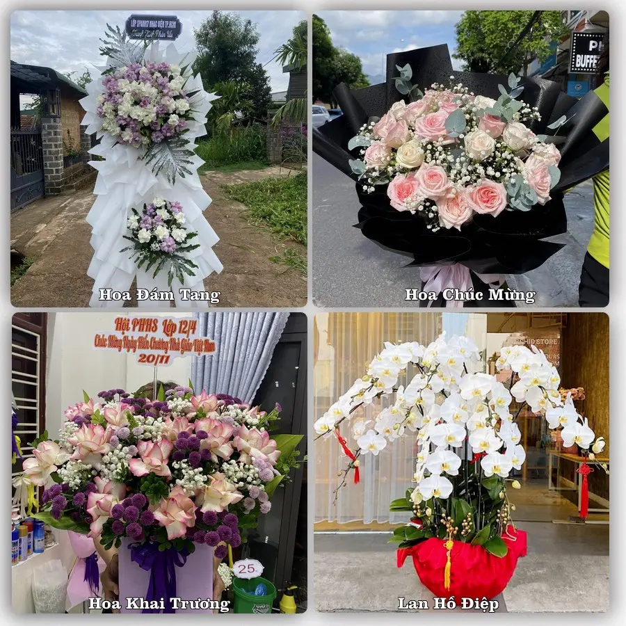 Mẫu hoa tươi giao tại Sơn Trà, Đà Nẵng