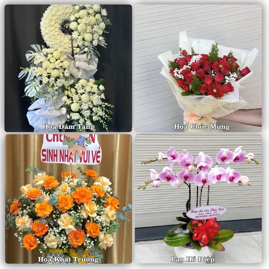 Đặt hoa giao tận nơi khu Tân Bình, TP.HCM