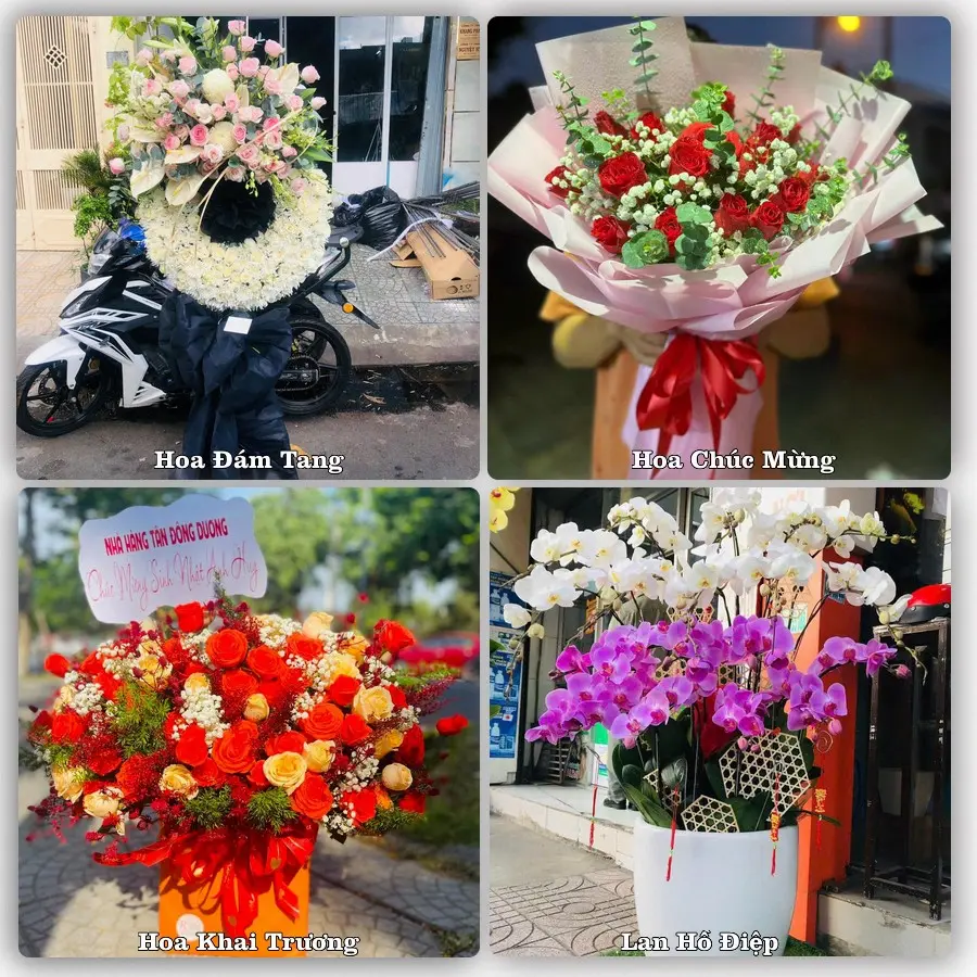 Mẫu hoa tươi giao tại Tân Bình, TP.HCM