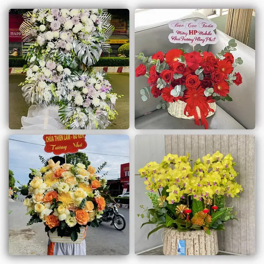 Mẫu hoa tươi tại Tân Bình