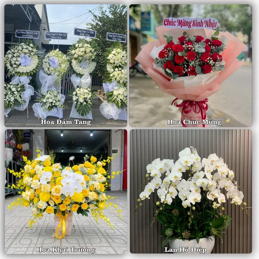 Mẫu hoa tươi giao tại Tân Đông Hiệp, TP.HCM