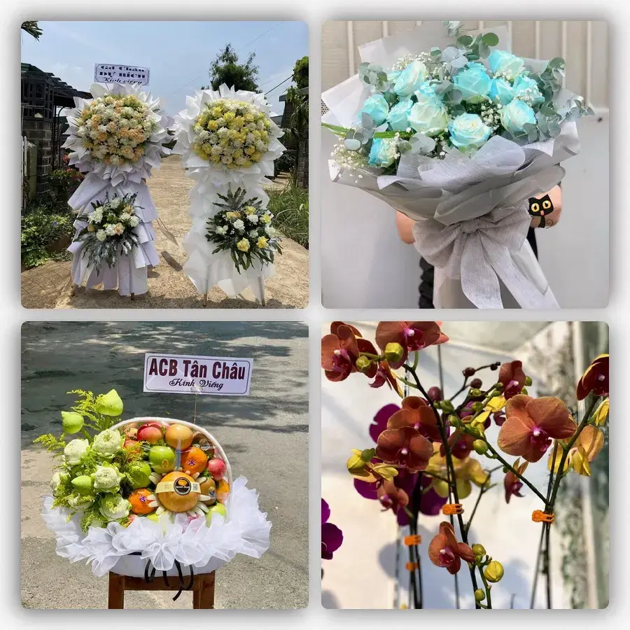 Mẫu hoa tươi tại Tân Hiệp
