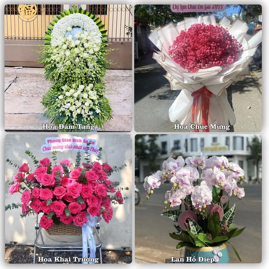 Đặt hoa giao tận nơi khu Tân Hiệp, TP.HCM