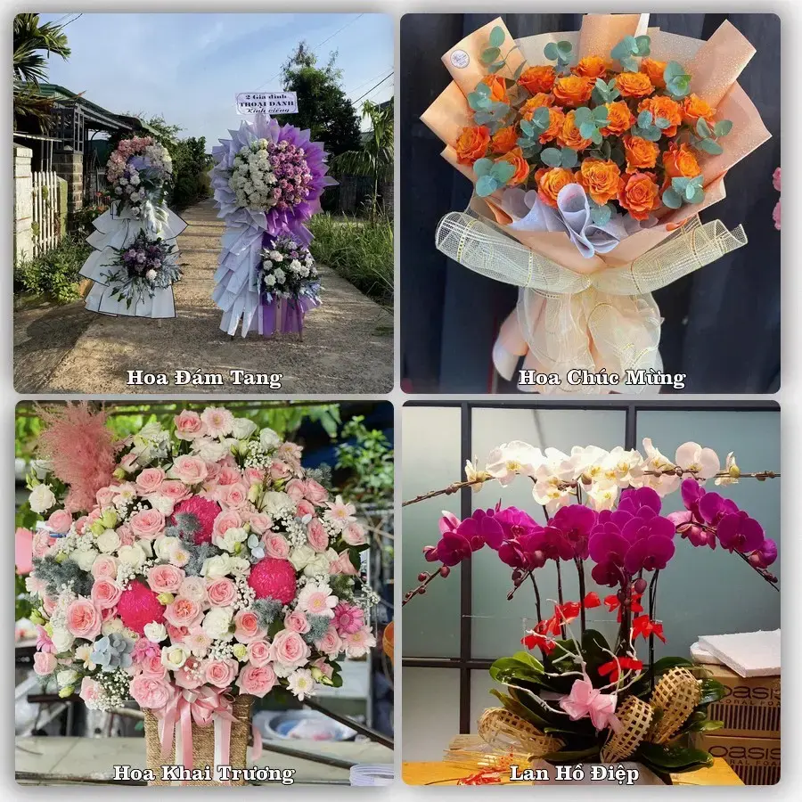 Shop hoa tươi Tân Hiệp – hoa chúc mừng, khai trương giao tận nơi