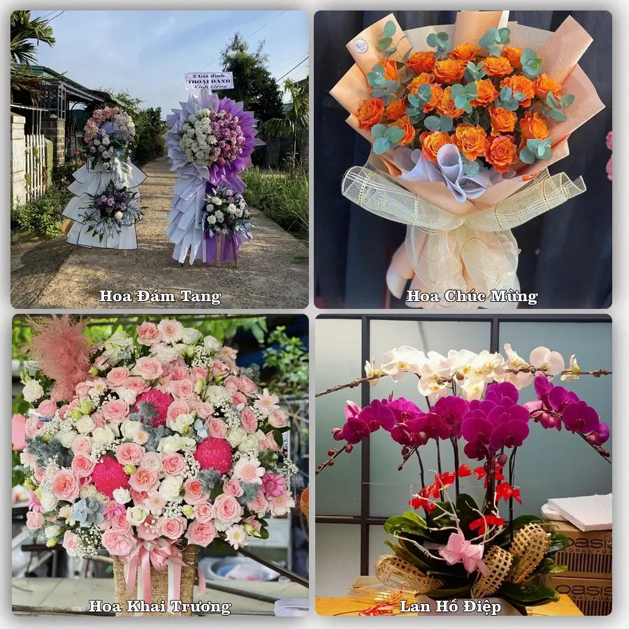 Mẫu hoa tươi giao tại Tân Hiệp, TP.HCM