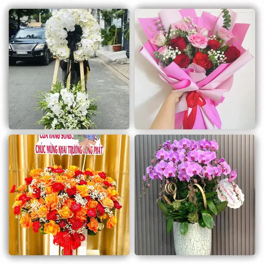 Mẫu hoa tươi tại Tân Hùng
