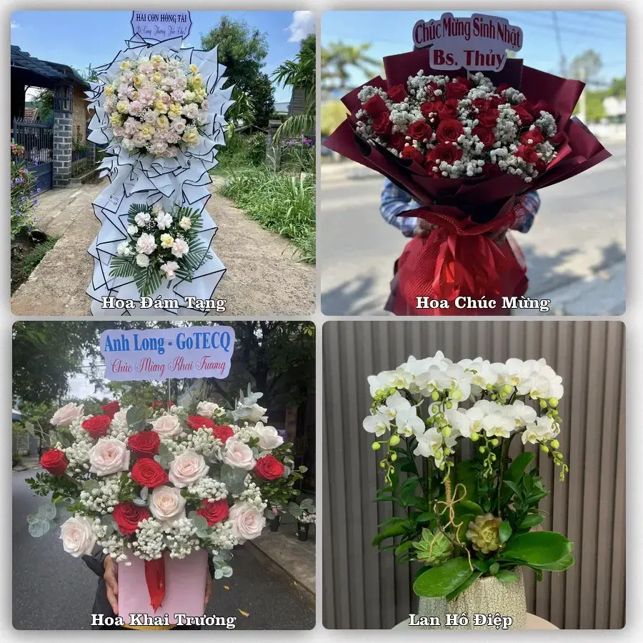 Shop hoa tươi Tân Khánh – đặt hoa theo dịp, giao tận nơi